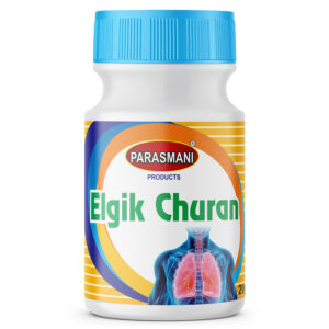 PARASMANI ELGIK CHURN 20GM